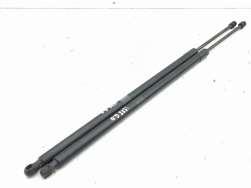 Tailgate strut EM2BU406A10AF