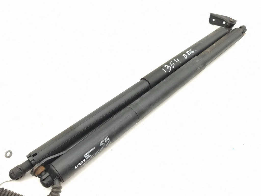 Tailgate strut 81830AT101