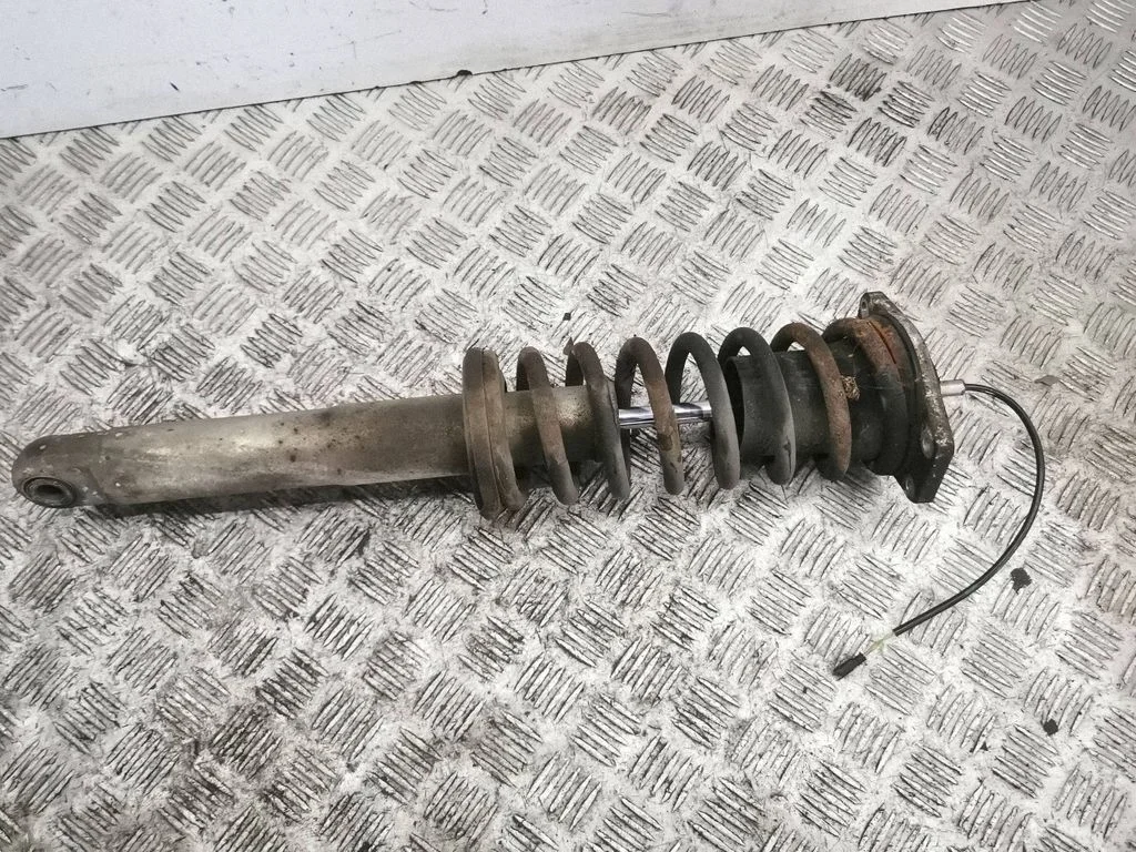 Rear shock absorber with coil spring 462400001756