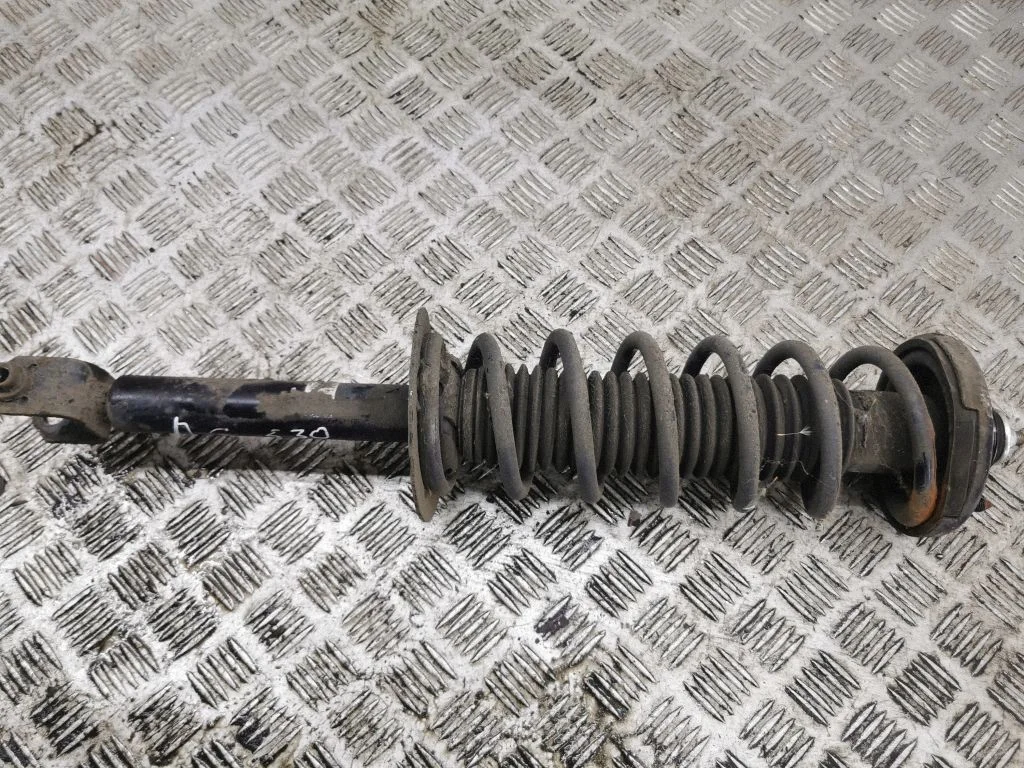 Rear shock absorber with coil spring – left