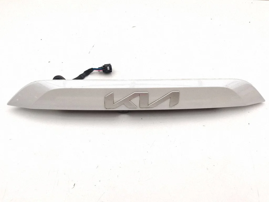 Trunk door license plate light bar 87311A1000