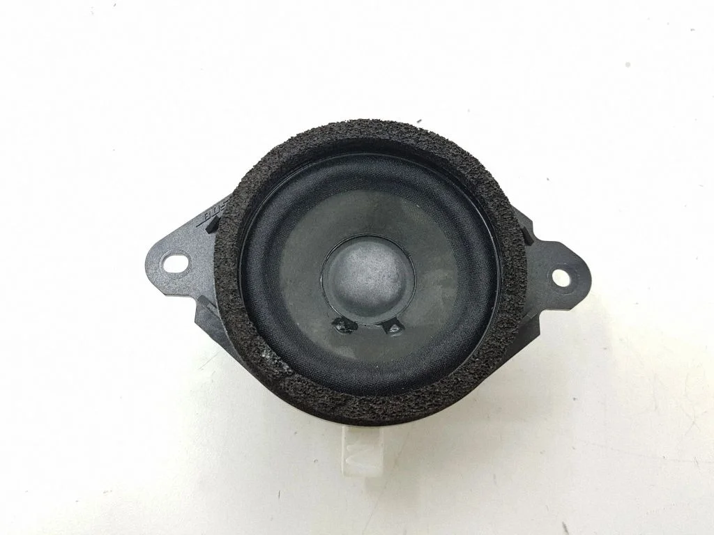 High frequency speaker in the rear doors – left