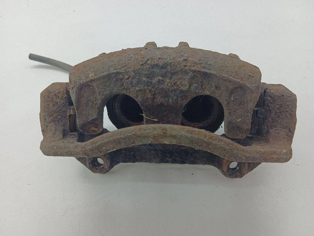Esimene pidurisadul BG140102