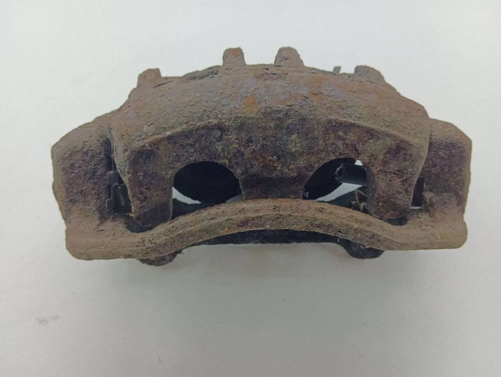 Esimene pidurisadul BG140102