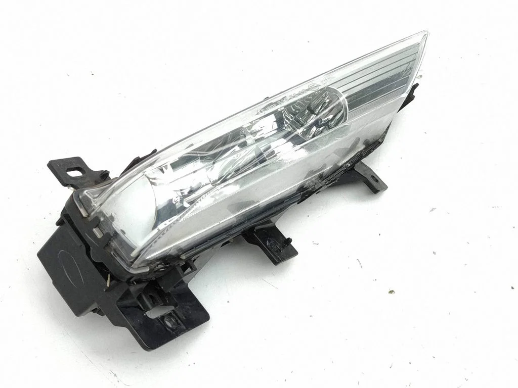 Front fog light F0G14019