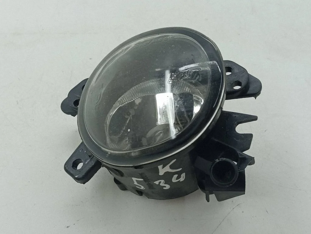 Front fog light E419825