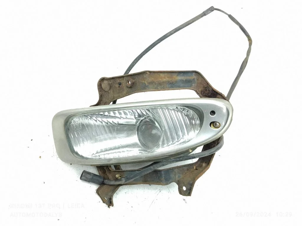 Front fog light – left