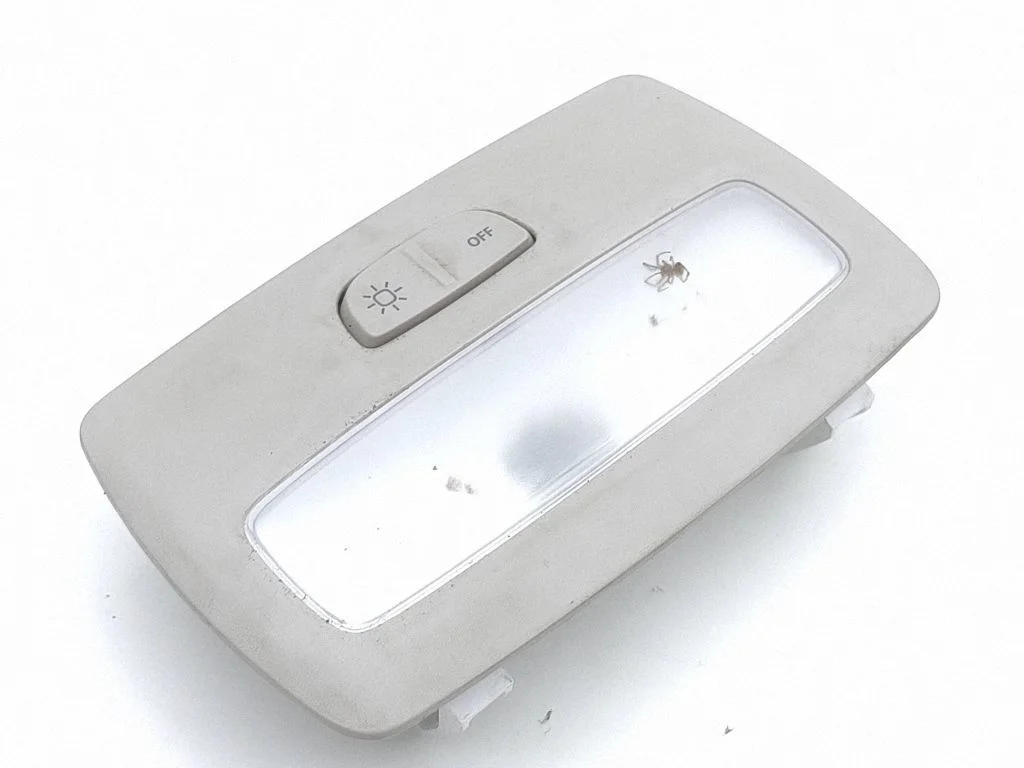 Rear seat light 264600276R
