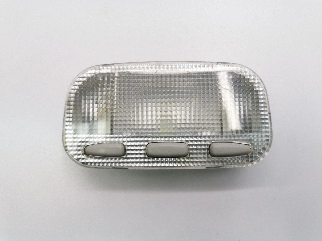 Rear seat light