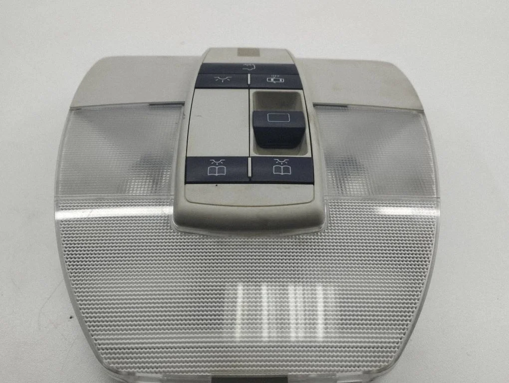 Front seat light A1698208501
