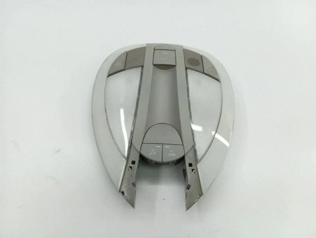 Front seat light A2198201201