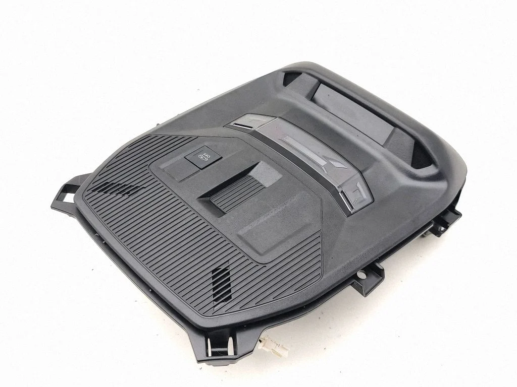 Front seat light 9836904480