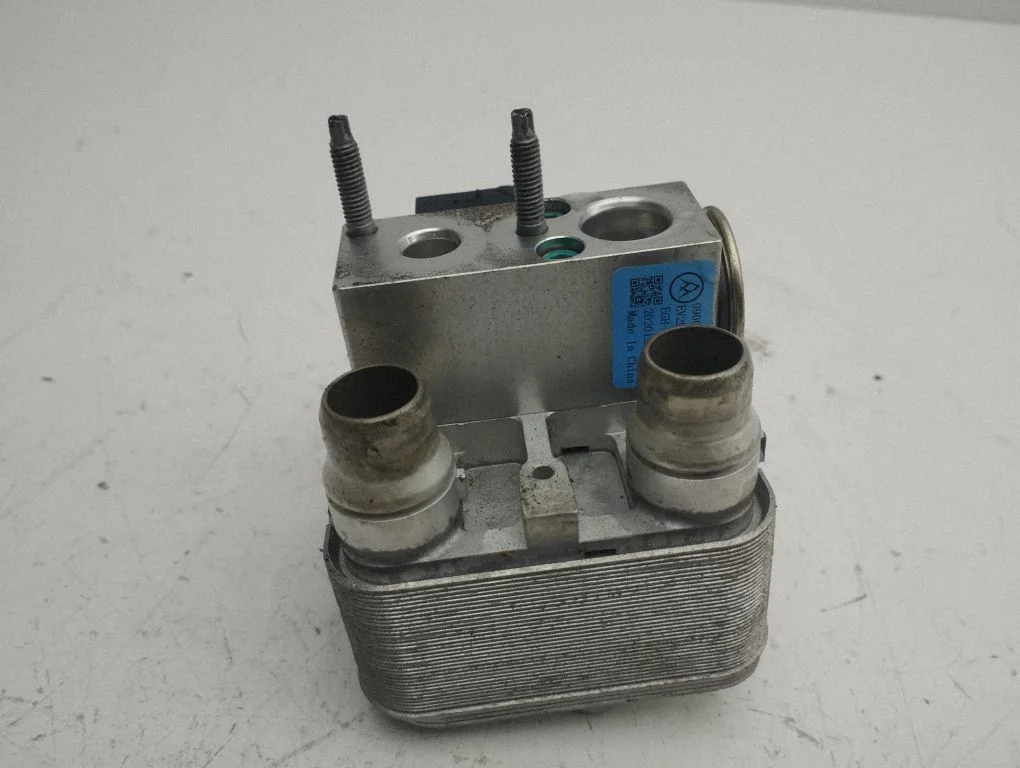 Air conditioning (A/C) expansion valve 9831600480