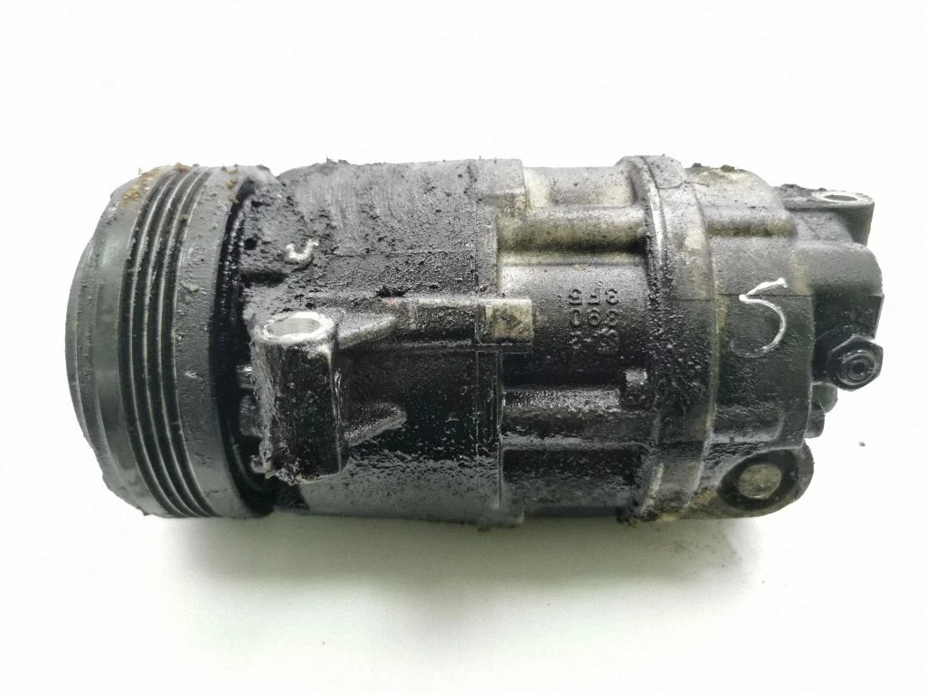 Air conditioning (A/C) compressor (pump) 6905643