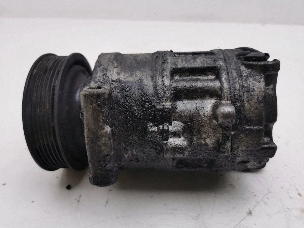 Kliimakompressor (pump) 793870