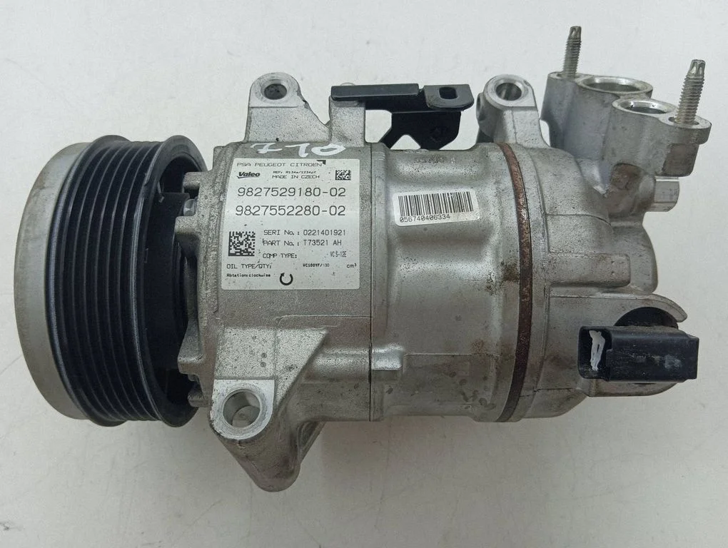 Gaisa kondicioniera kompresors (sūknis) 9827529180