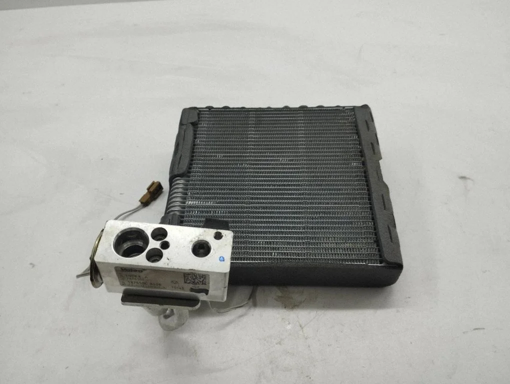 Gaisa kondicioniera radiators (salonā) T87650C8108