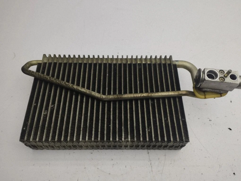 Air conditioning (A/C) radiator (interior) A2098300158