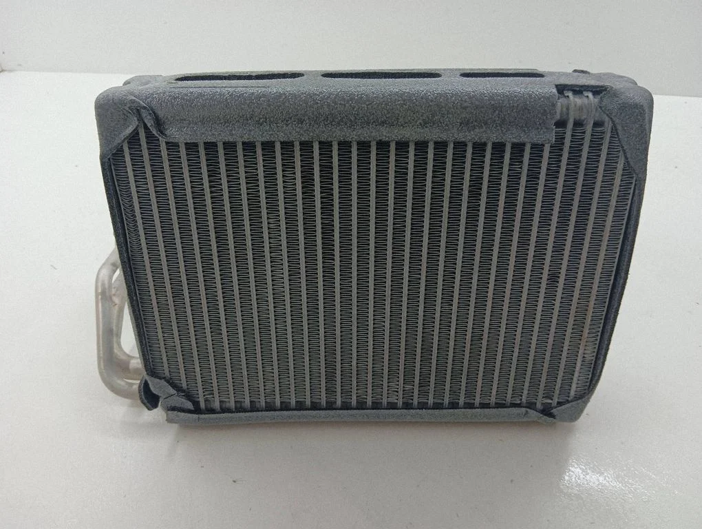 Kliimaseadme radiaator (salongis) P1312001