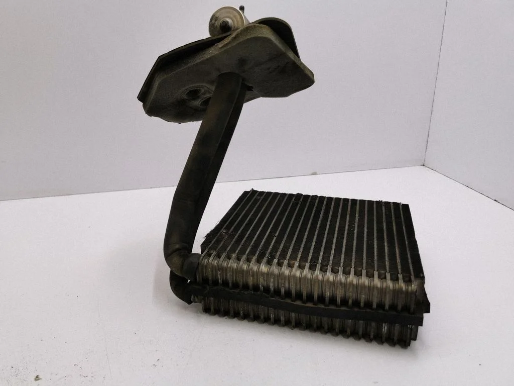 Gaisa kondicioniera radiators (salonā) A1688300284