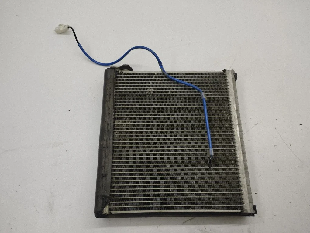Gaisa kondicioniera radiators (salonā) 10E20897
