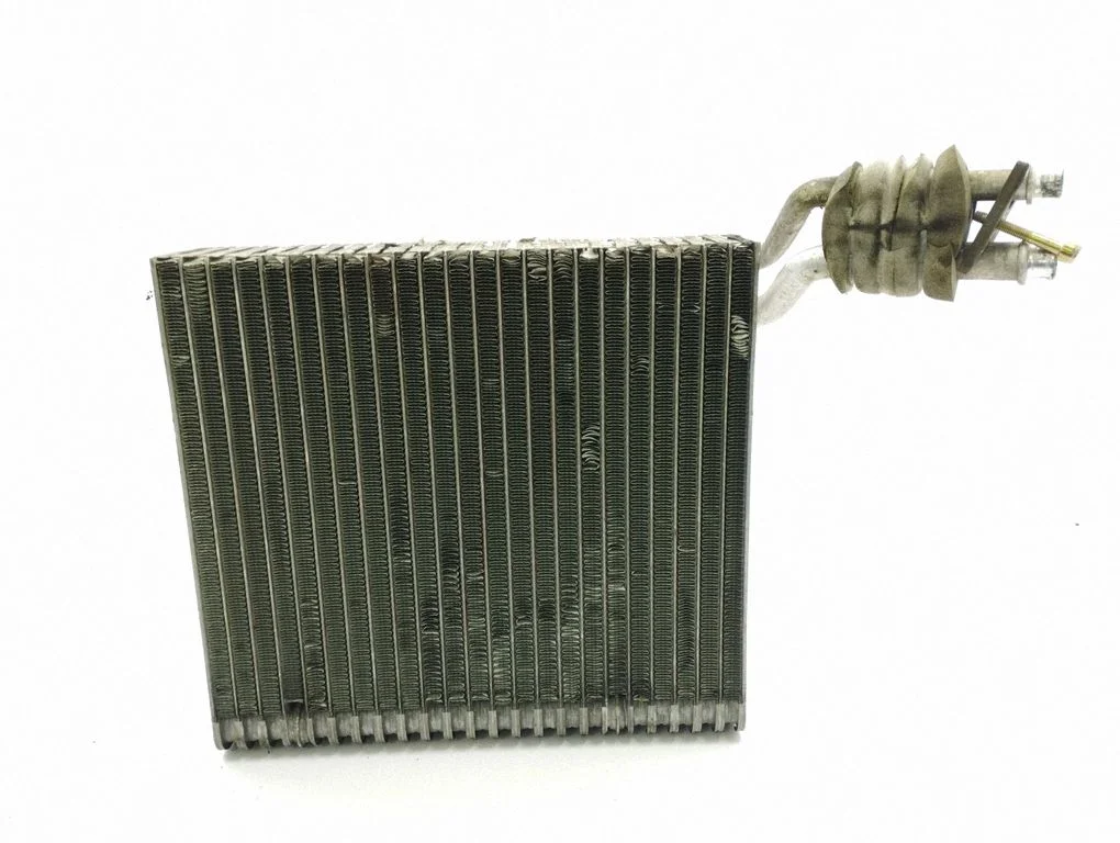 Air conditioning (A/C) radiator (interior) 0890011