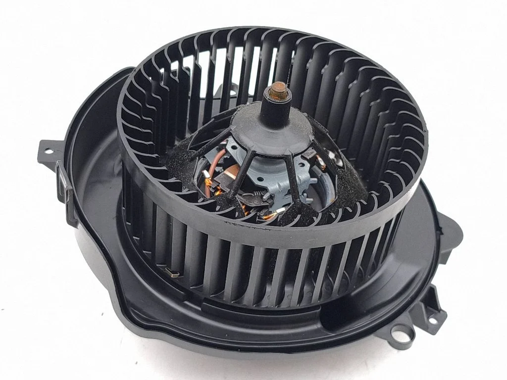 Salongipuhur T1018605ZC