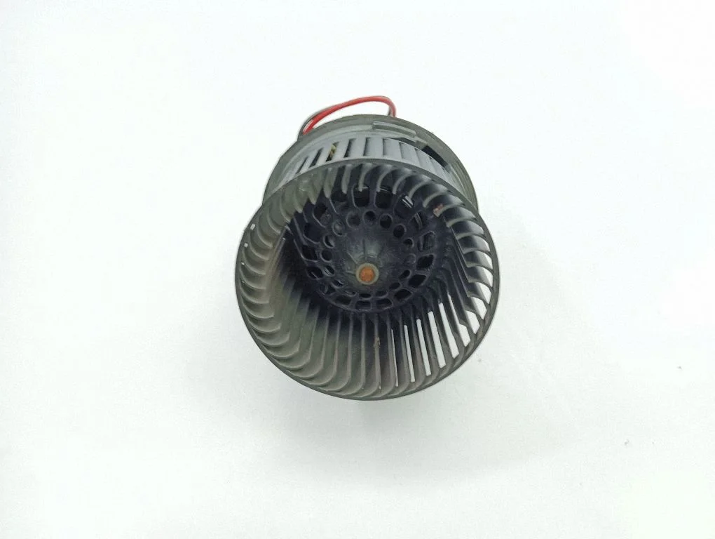 Krāsniņas ventilators/pūtējs T1013001