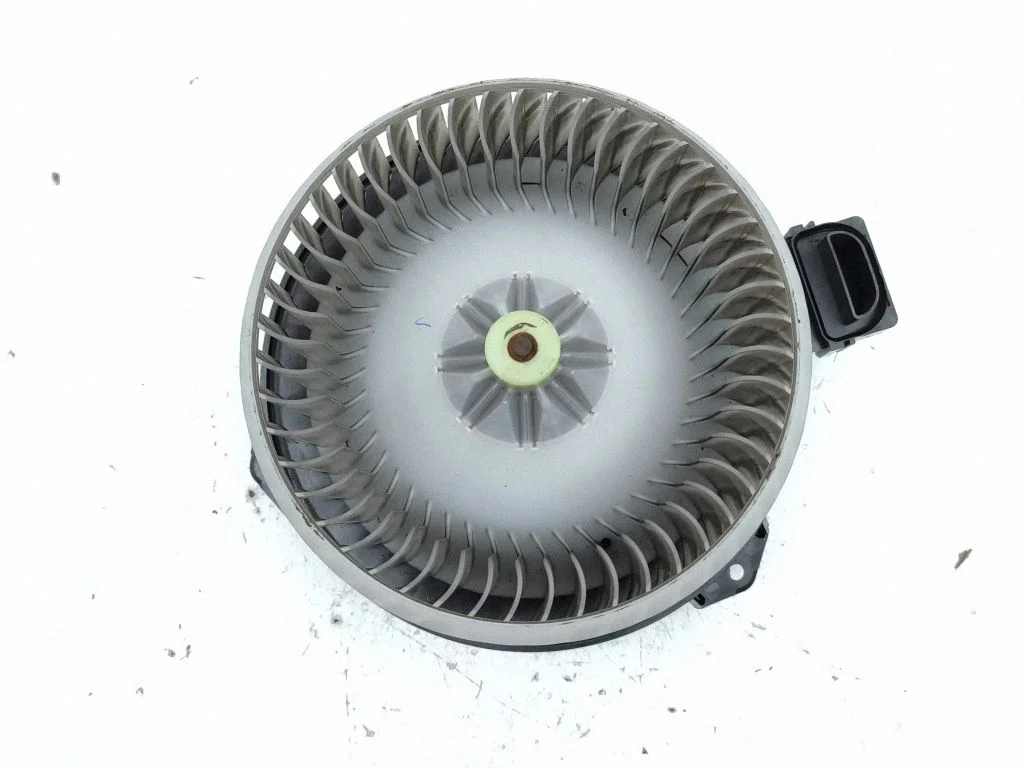 Salongipuhur