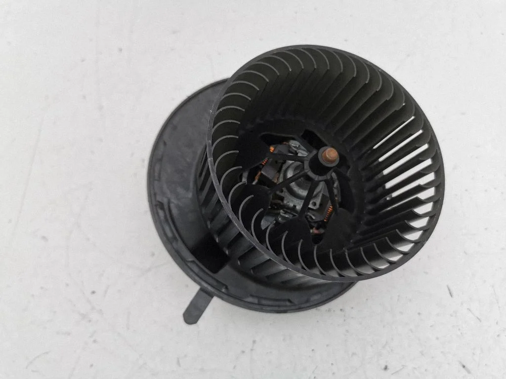 Krāsniņas ventilators/pūtējs A1698200642