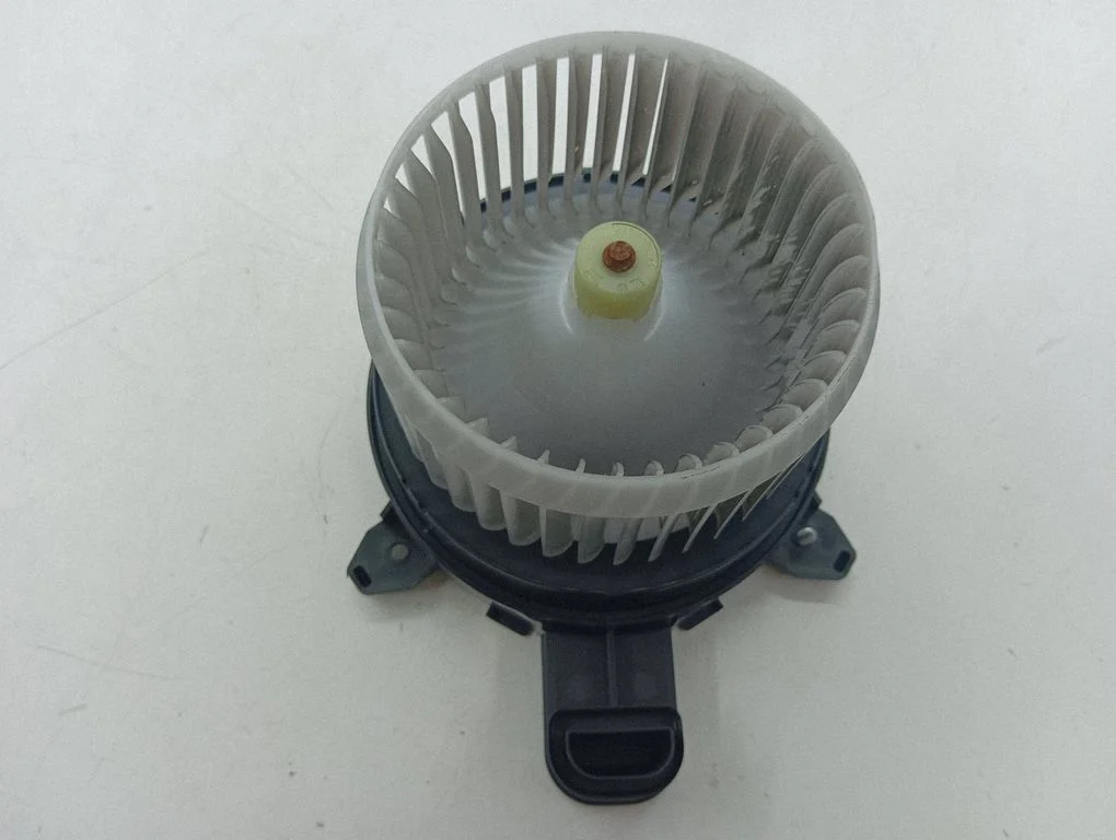 Krāsniņas ventilators/pūtējs 09U06