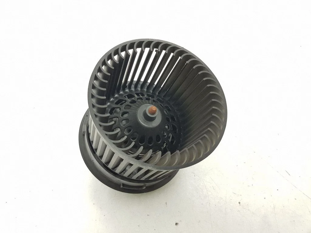 Krāsniņas ventilators/pūtējs T1011034D
