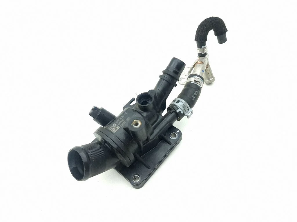 Termostaat / termostaadi korpus 110S11151R
