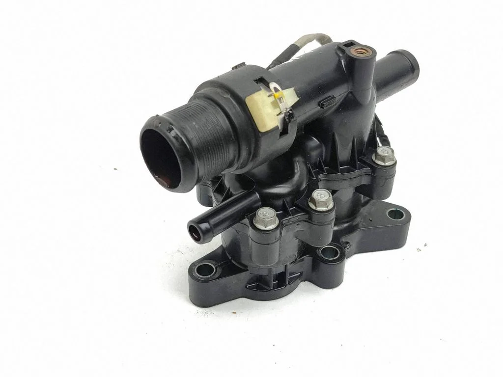 Thermostat/thermostat housing