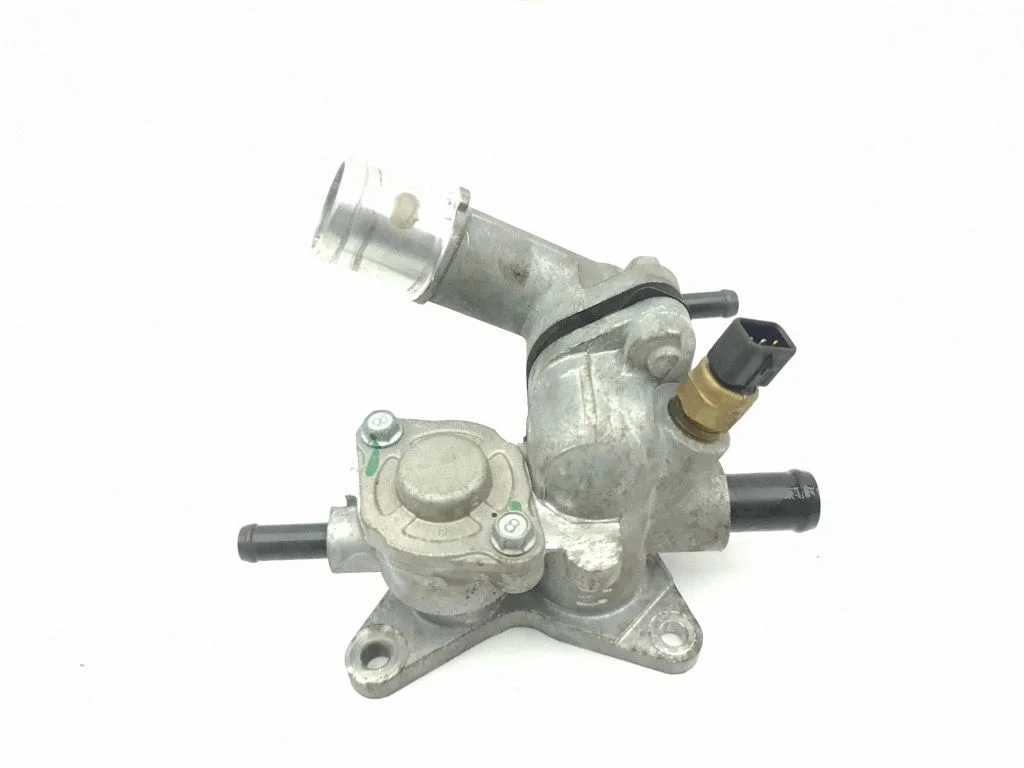 Thermostat/thermostat housing