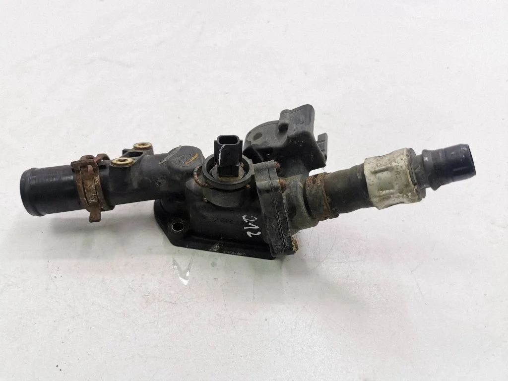 Thermostat/thermostat housing 110609813R