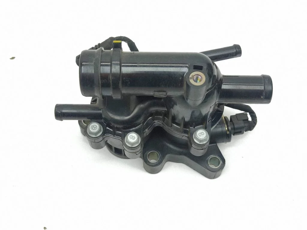 Thermostat/thermostat housing