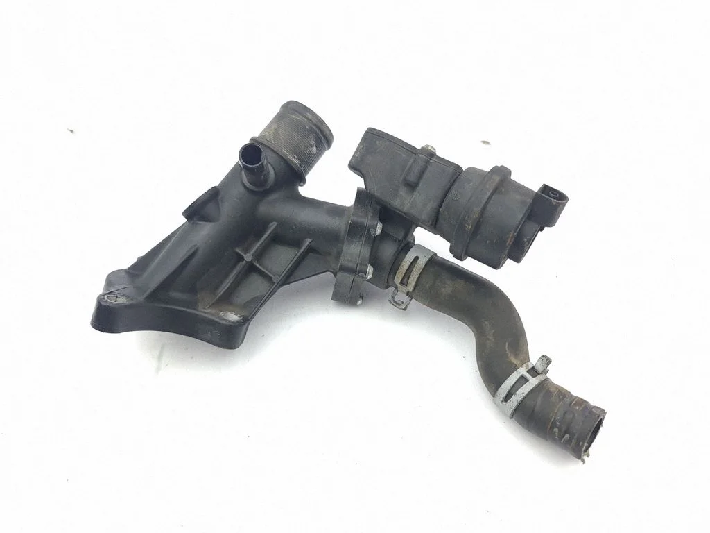 Engine coolant pipe/hose 110600686R