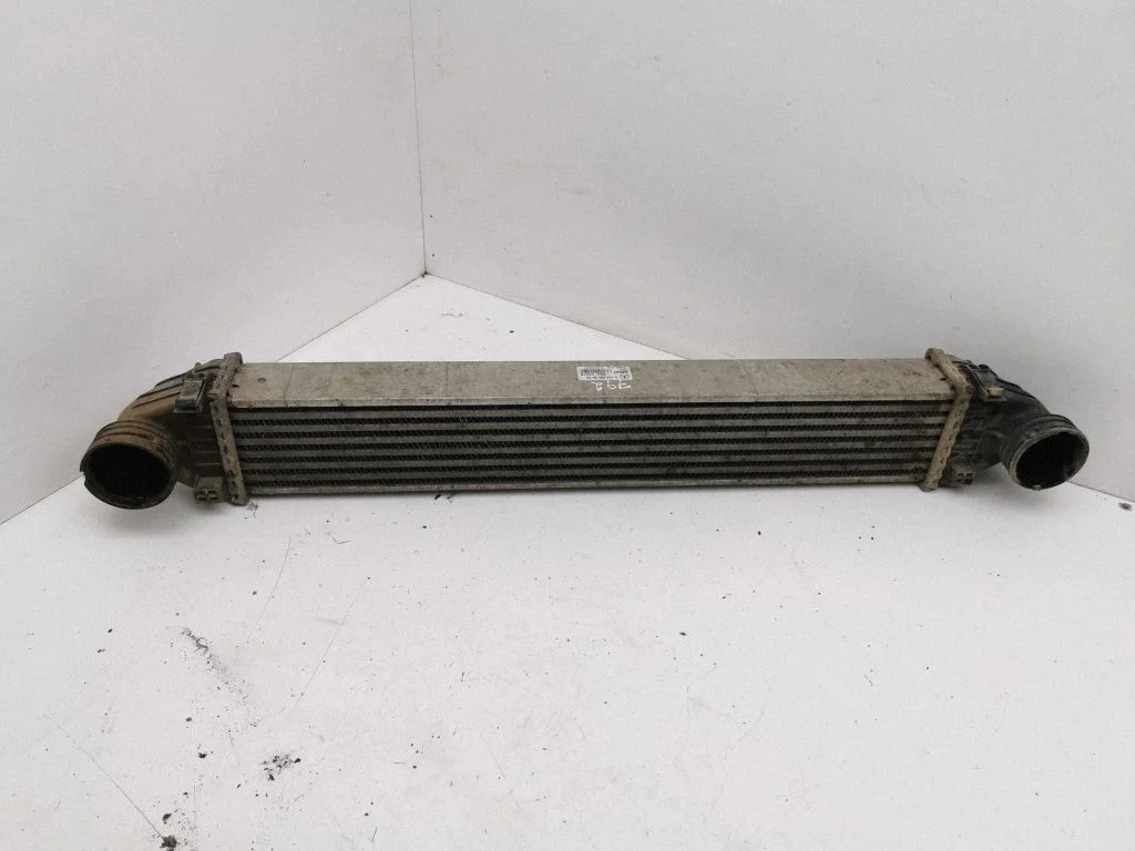 Intercooler radiator A1695000000