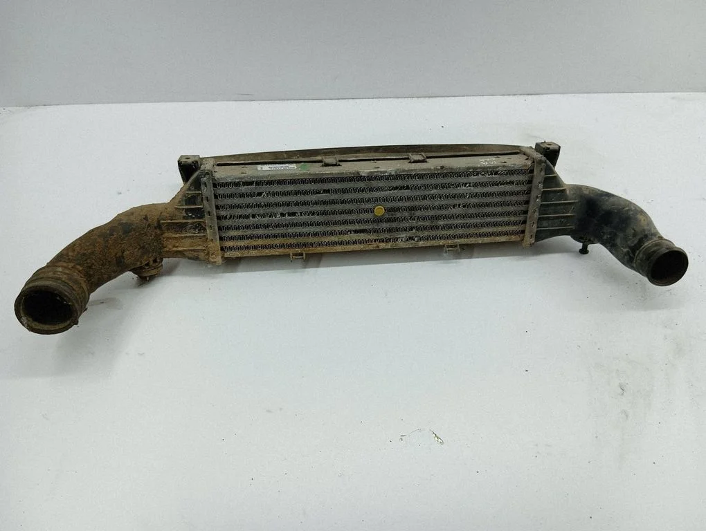 Starpdzesētāja (interkūlera) radiators A2025001100
