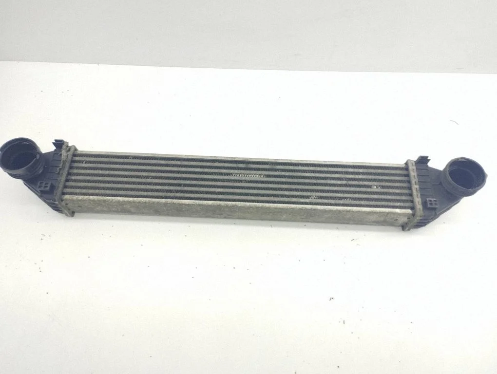Starpdzesētāja (interkūlera) radiators A1695000000