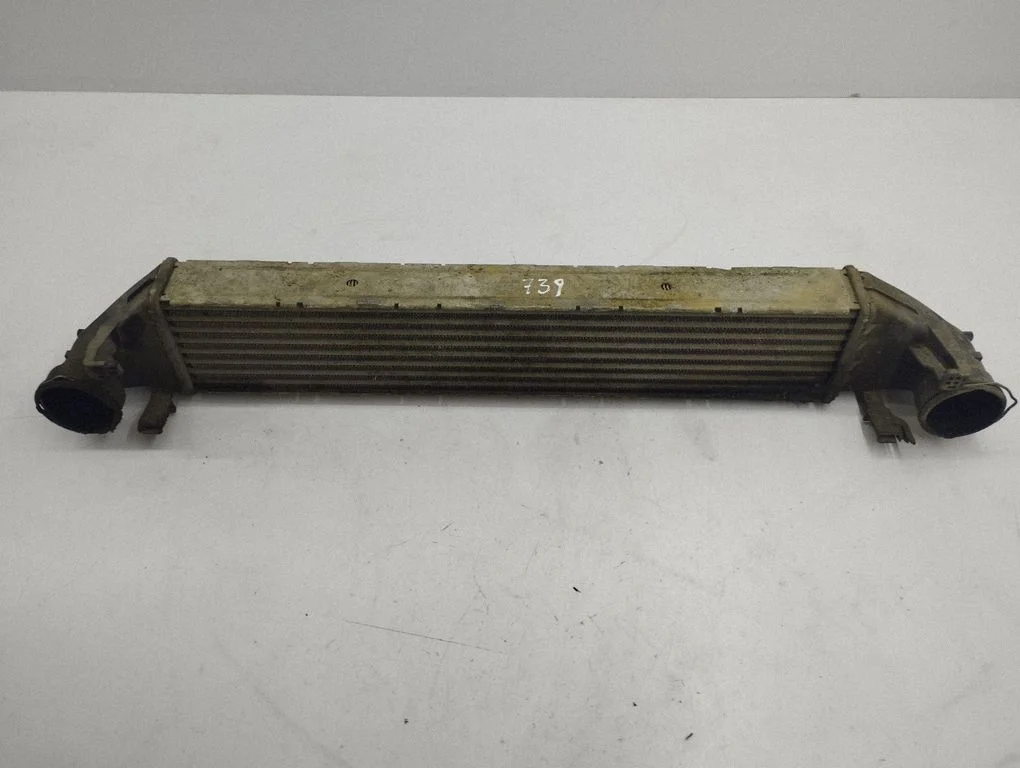 Starpdzesētāja (interkūlera) radiators A1695000000