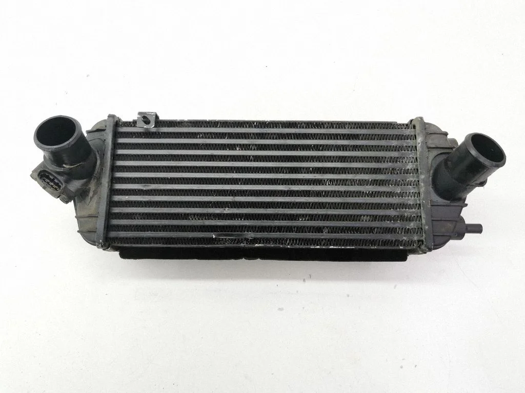 Vahejahuti radiaator 282702A850