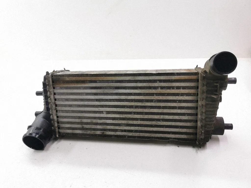 Intercooler radiator BV619L440CE