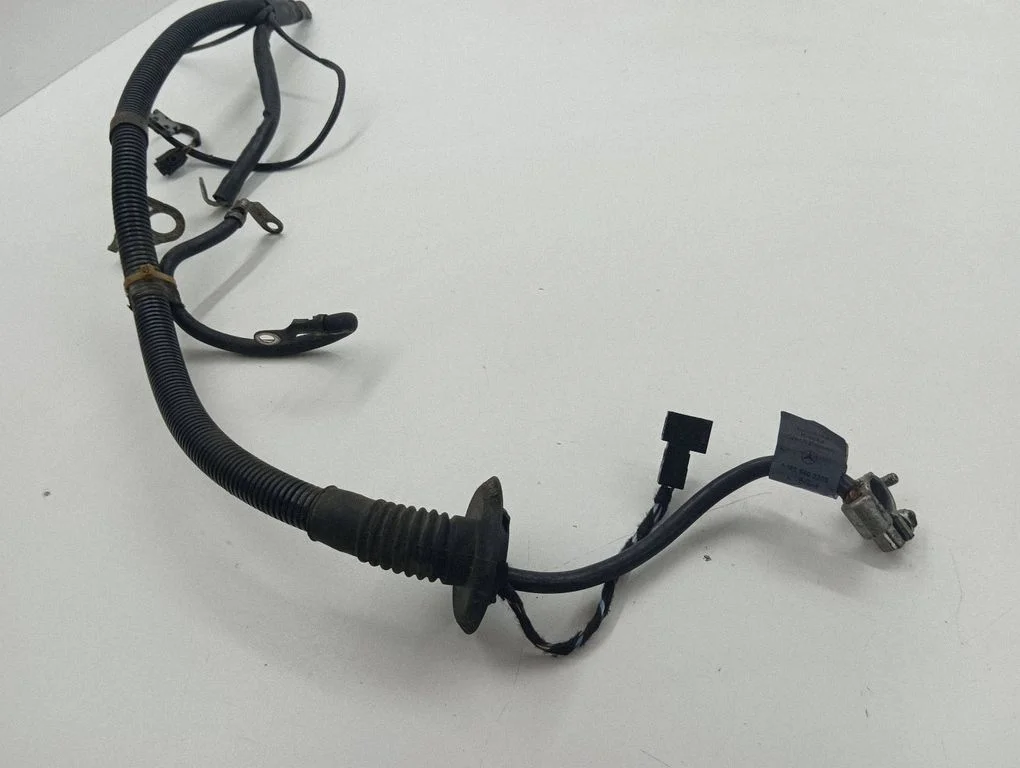 Wires (starter motor) A1695400209