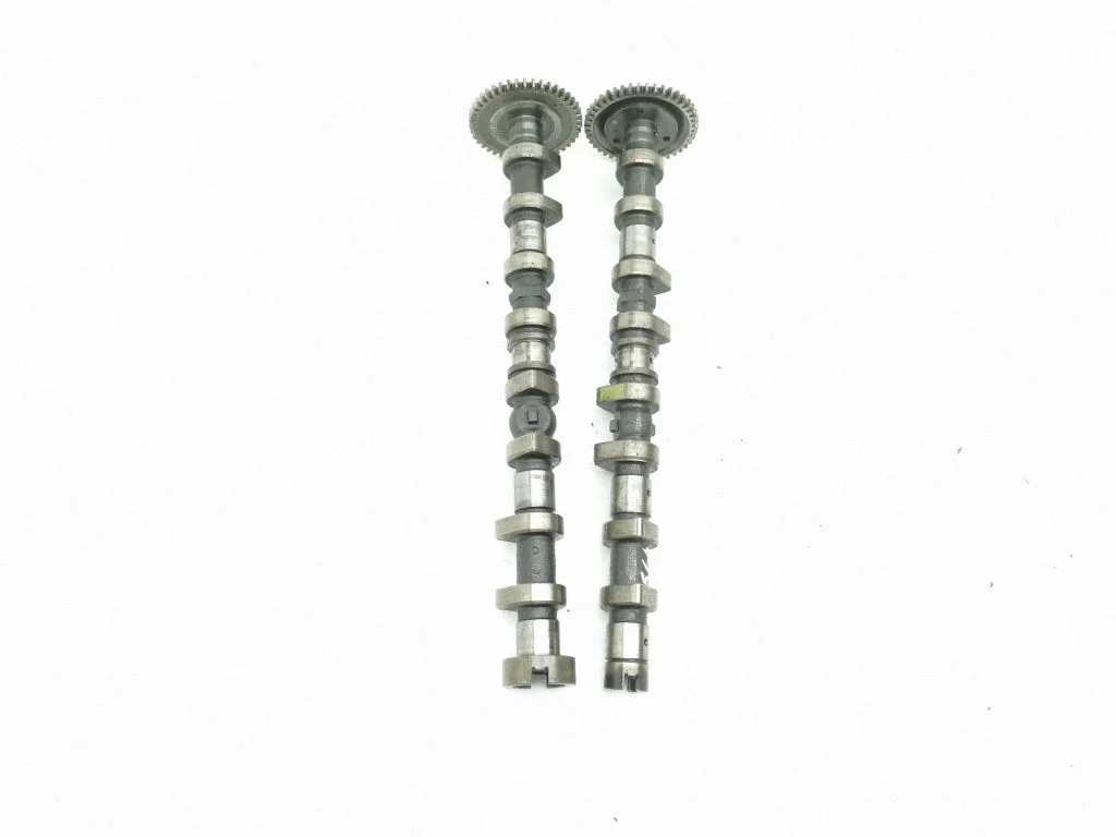 Sadales vārpsta R6640510201