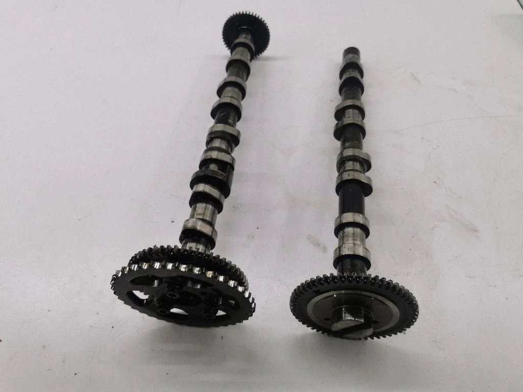 Sadales vārpsta