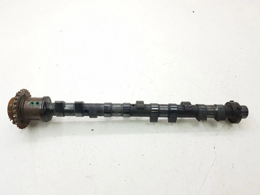 Sadales vārpsta A3126941
