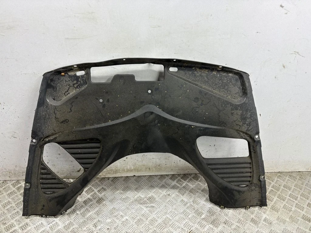 Engine cover (trim) 067065000