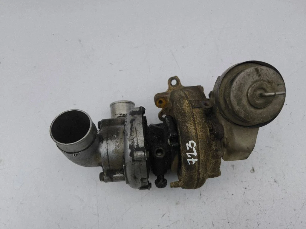 Turbocharger 172010R020